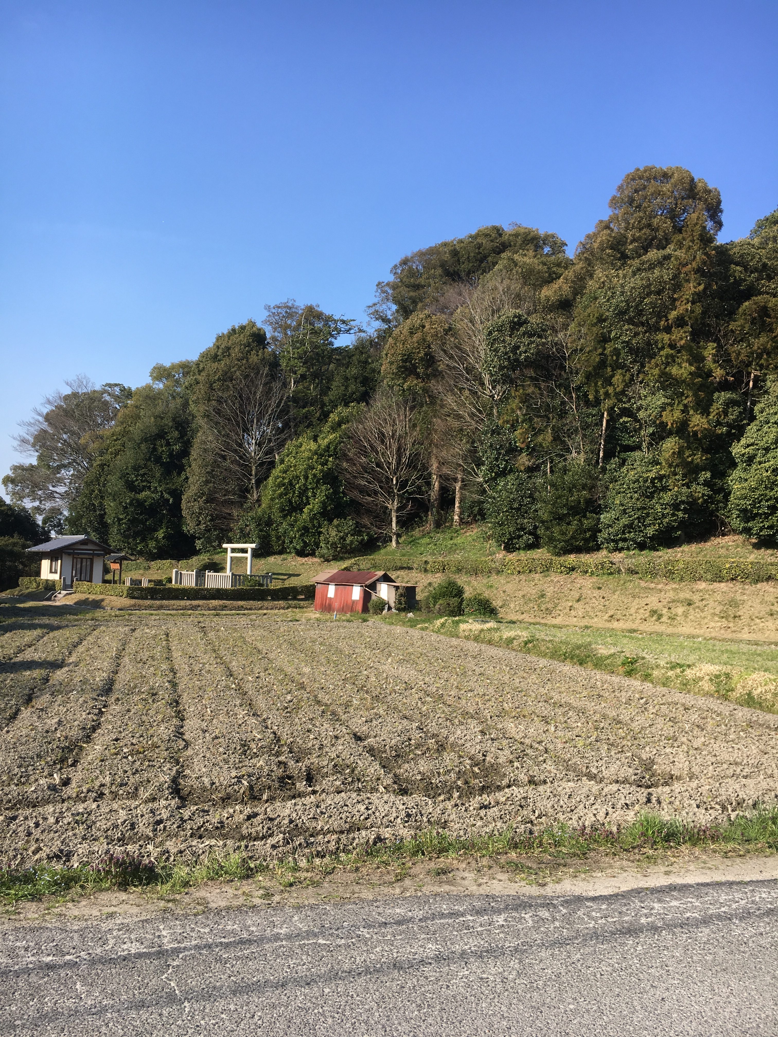 empty rice field with torii in the distance