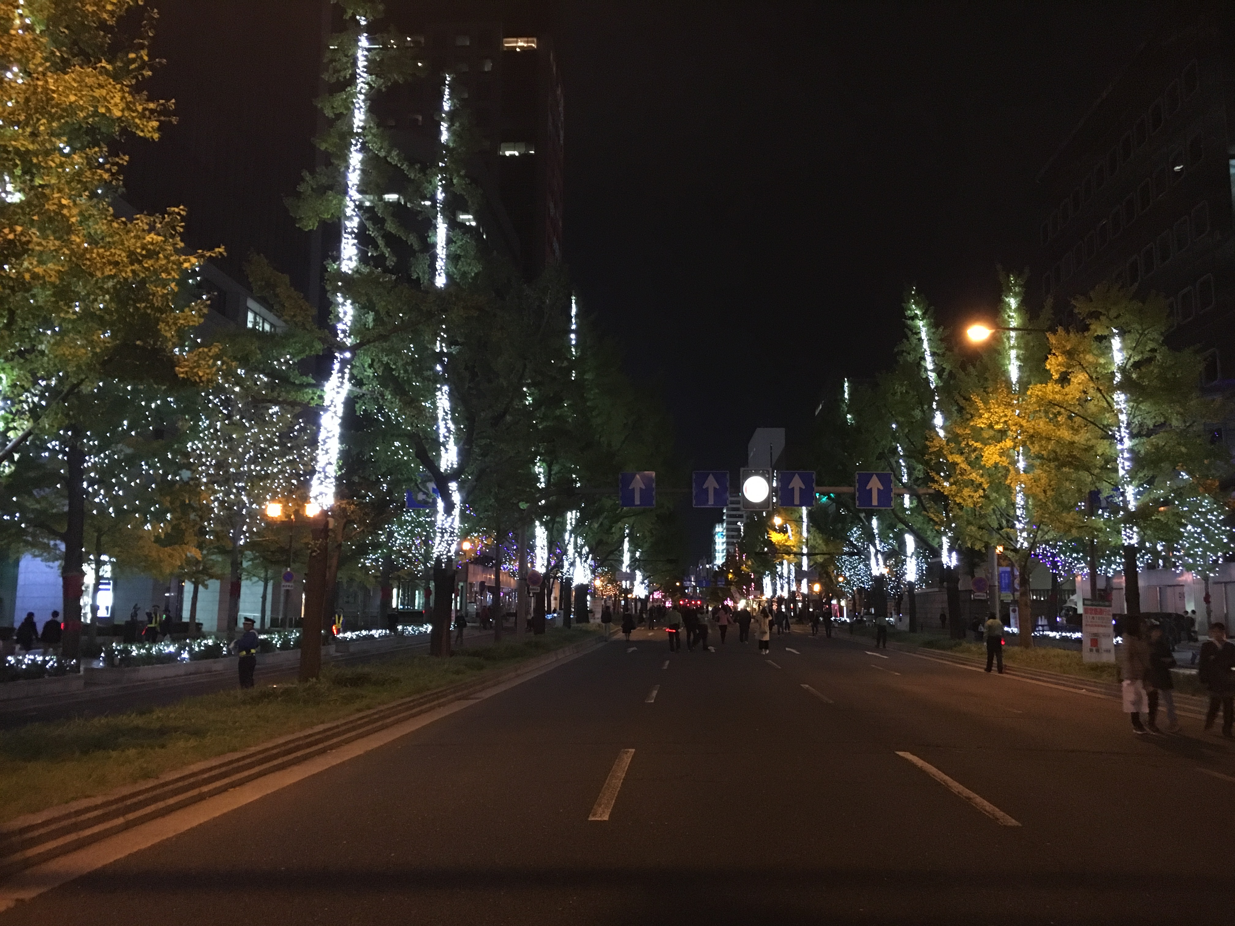 Midosuji street decorated with lights for Osaka's winter illuminations