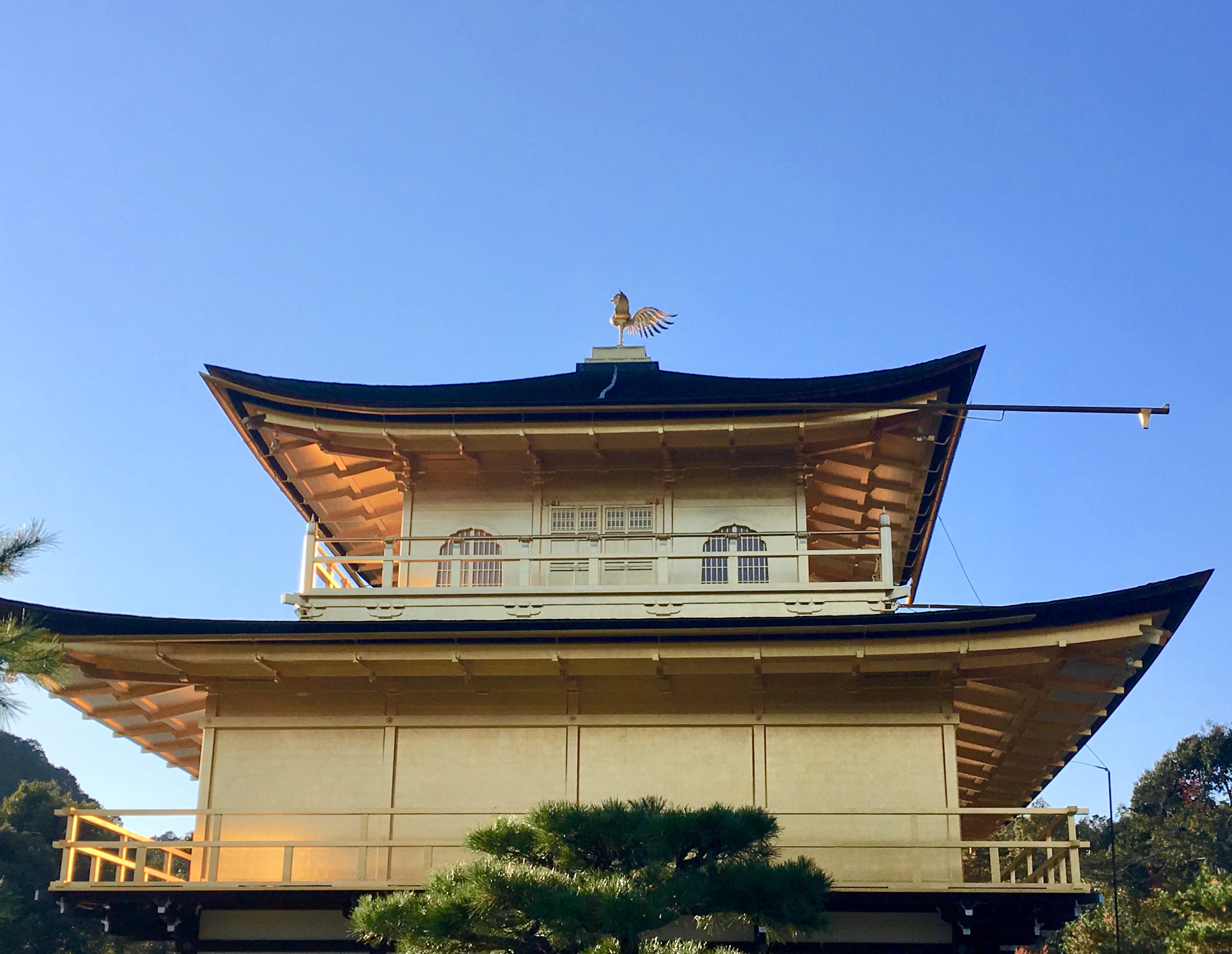 up close view of the top two levels of the kinkaku-ji