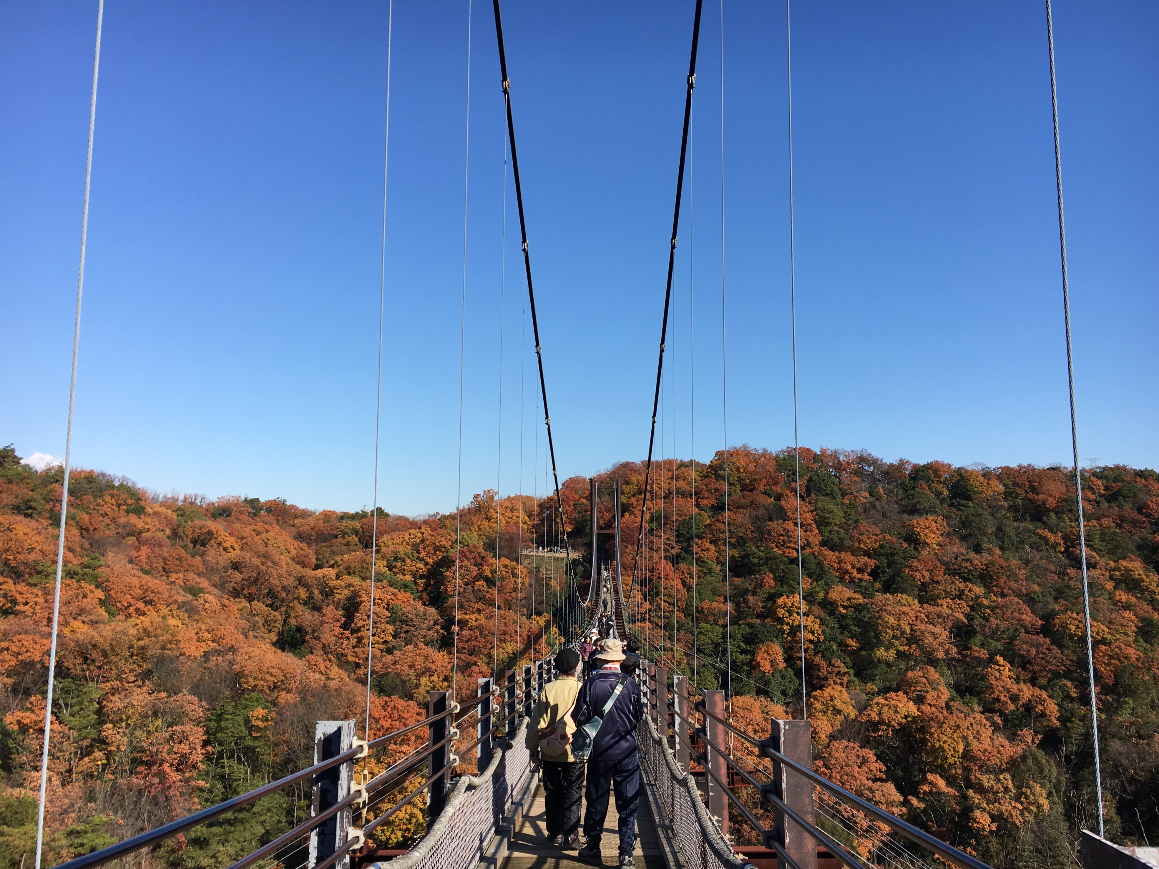 people walking across a suspension bridge surrounded by autumn leaves