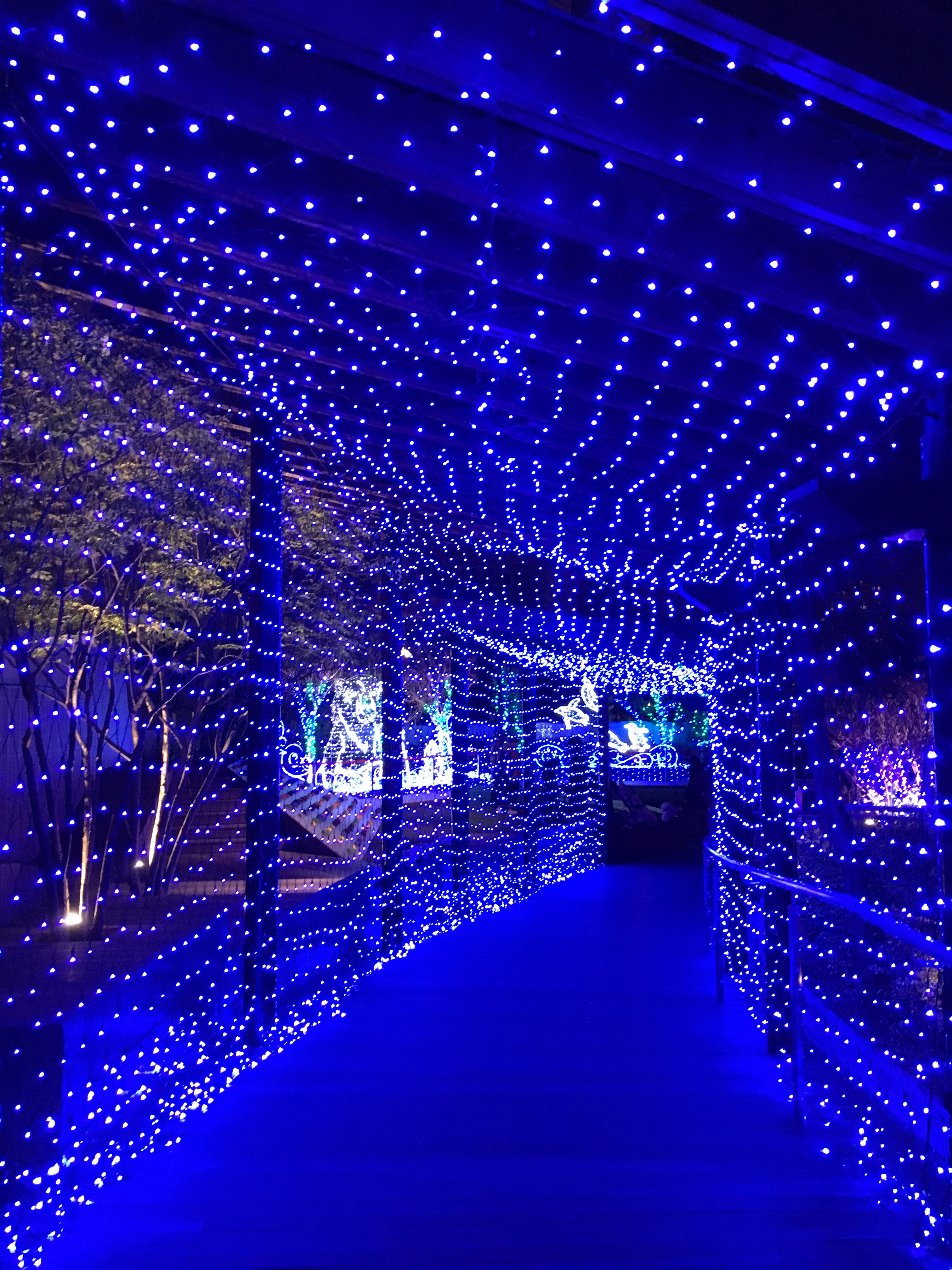 tunnel of blue lights