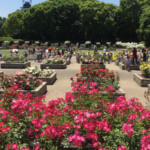 Nagai Botanical Garden, The Locals’ Favorite Park