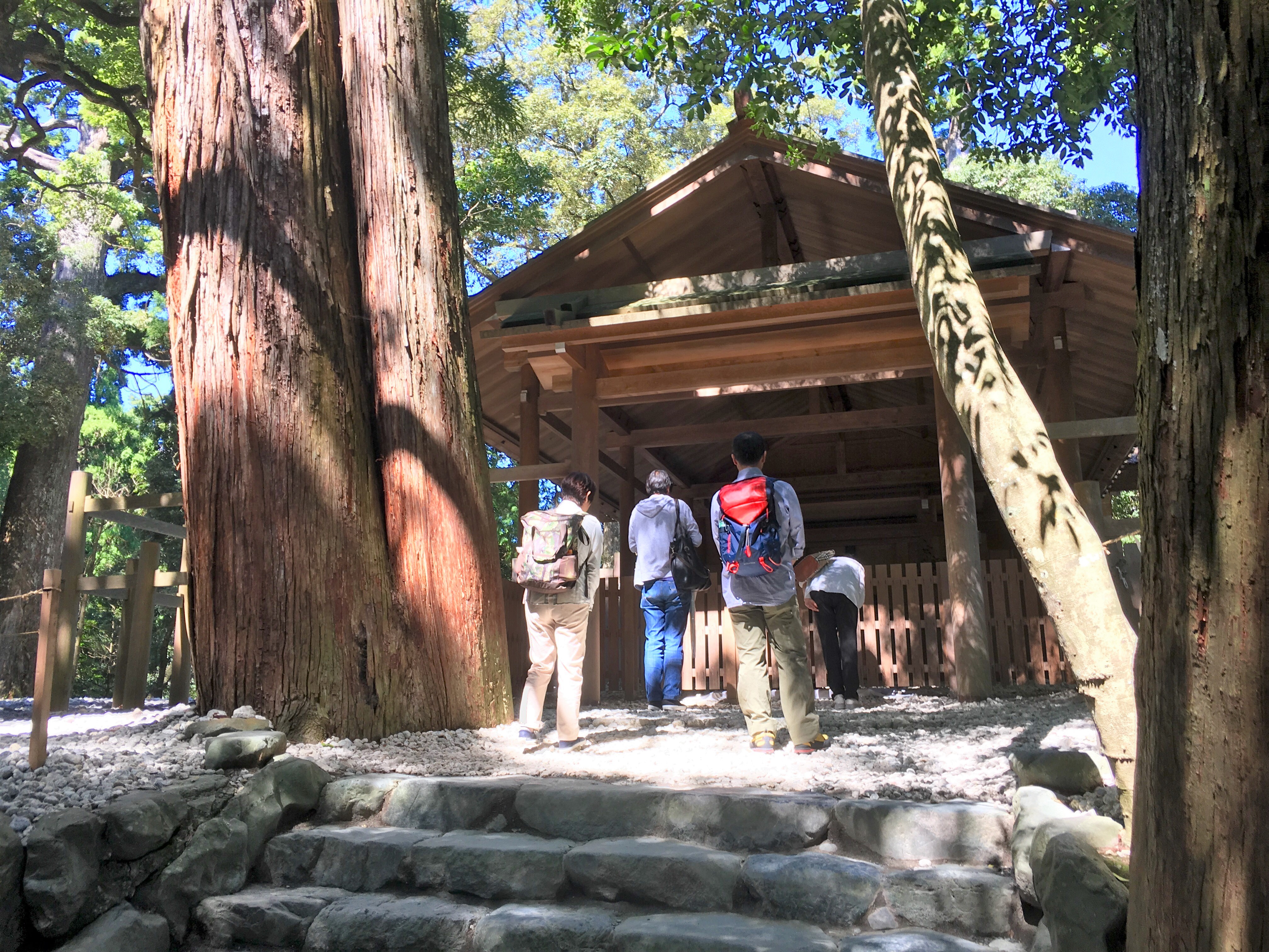 small wooden japanese shinto shrine next to a large cider tree and visitors in front of it