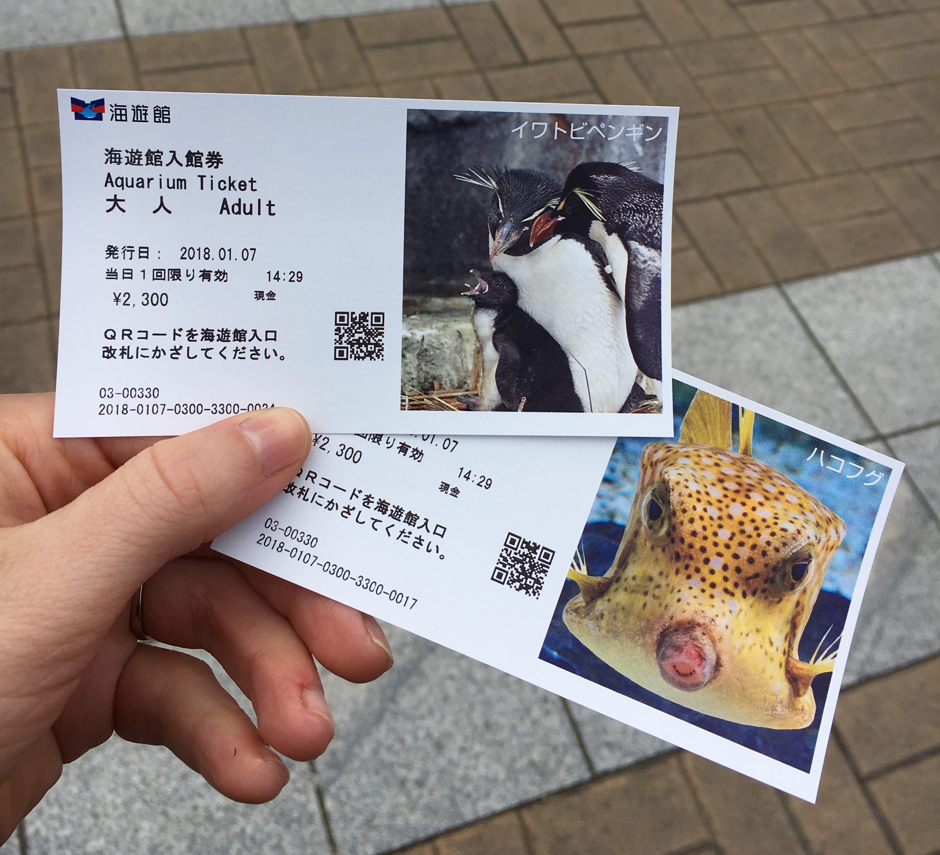 tickets for the osaka aquarium featuring pictures of a penguin and a fish