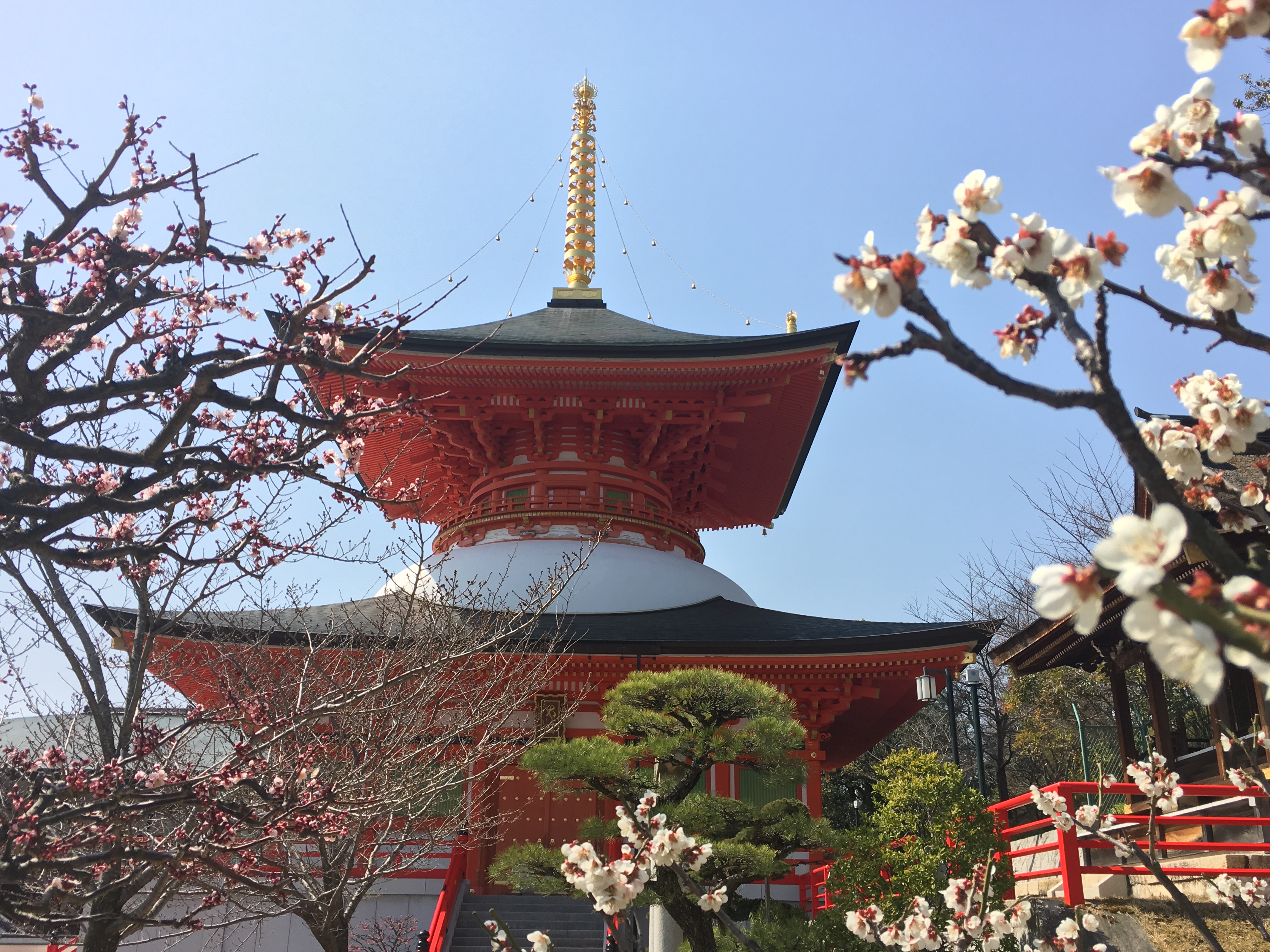 Tahoto of Nakayama-dera surrounded by plum blossoms