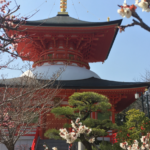 Striking and Colorful! Nakayama-dera Temple