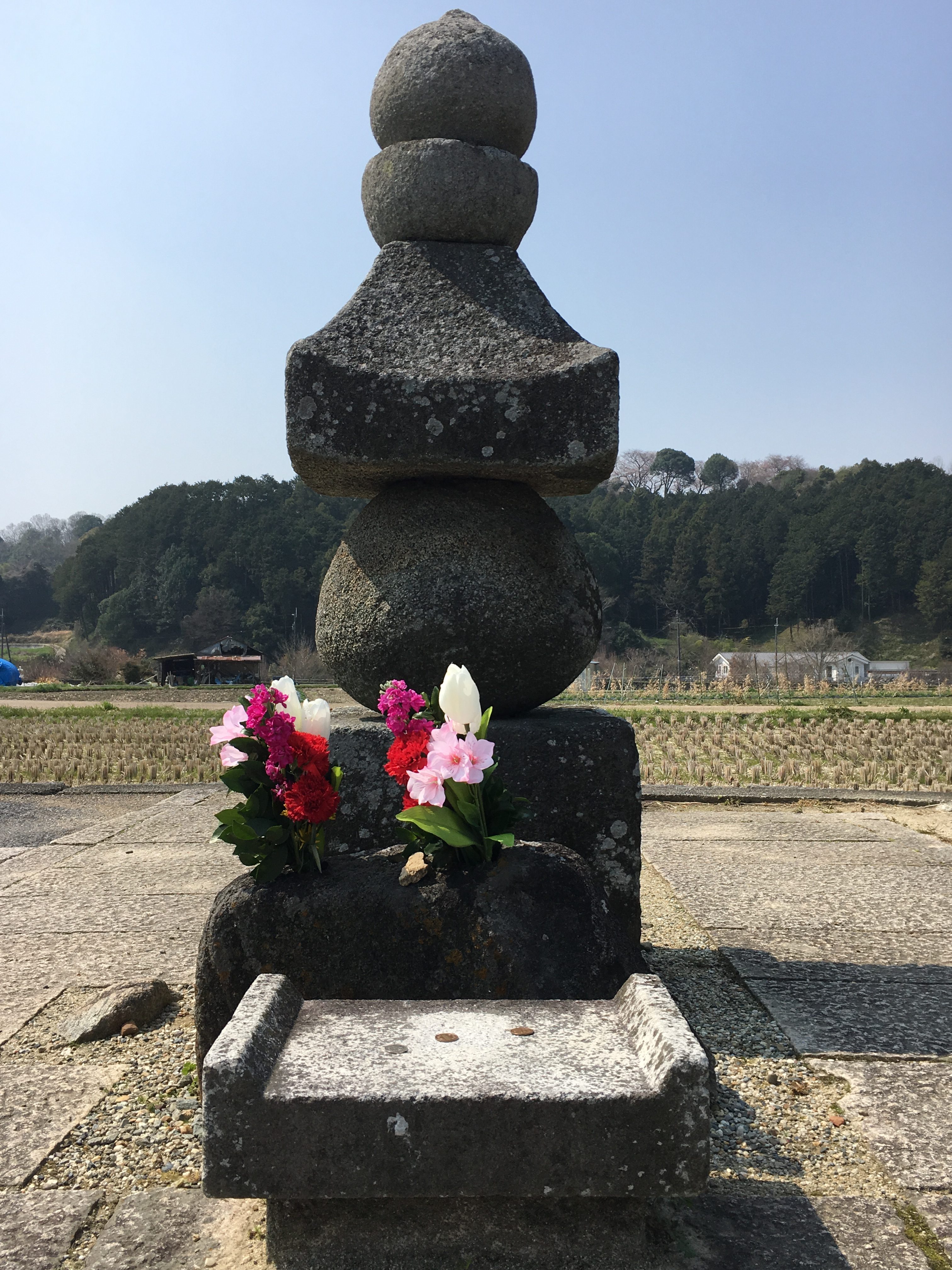 stone japanese grave marker of Soga no Iruka before a rice field.