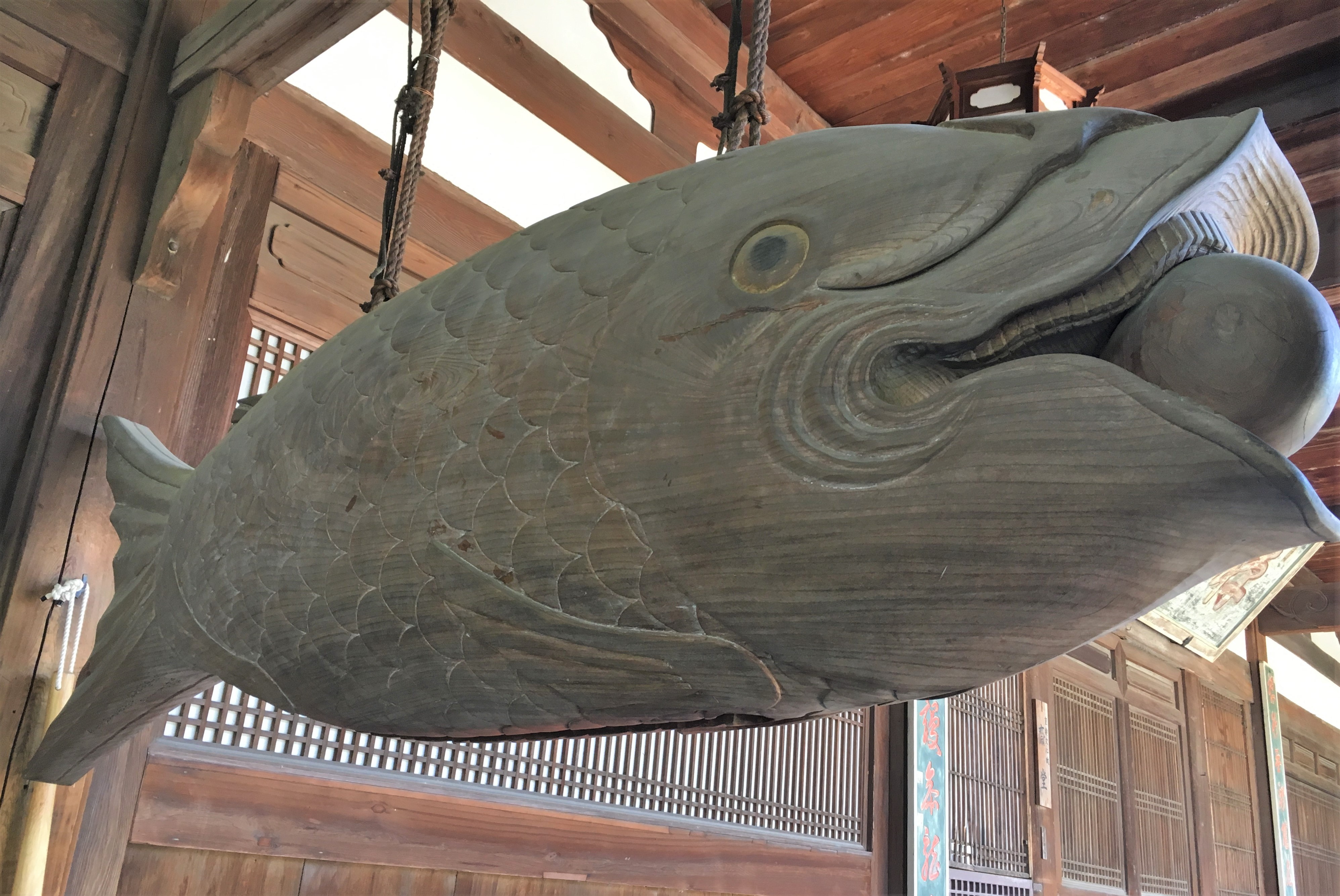 strange wooden fish shaped bell at manpuku-ji temple 