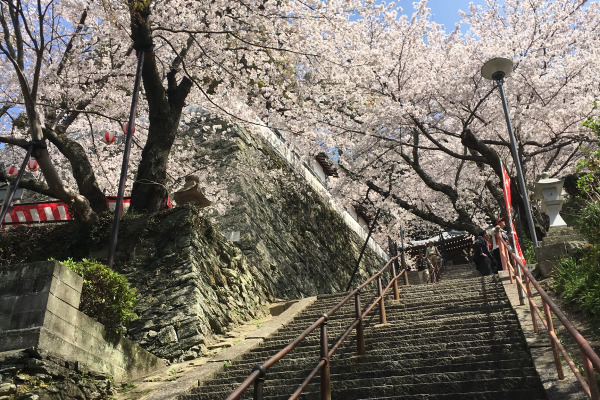 long stairs in Kimiidera