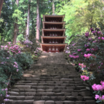 Muroji Temple, the “Women’s Koyasan”