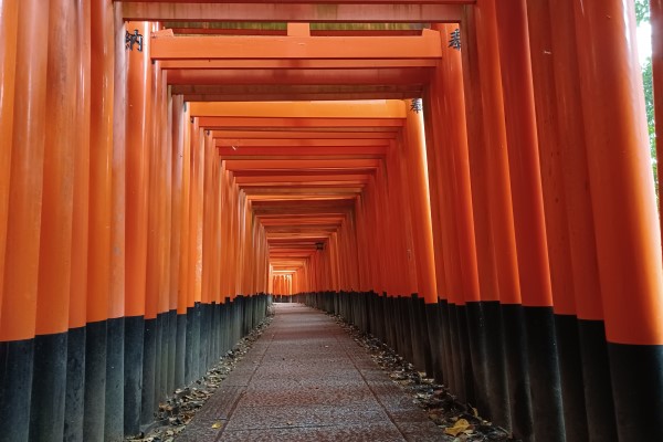 Senbon Torii at Fushimi Inari Taisha