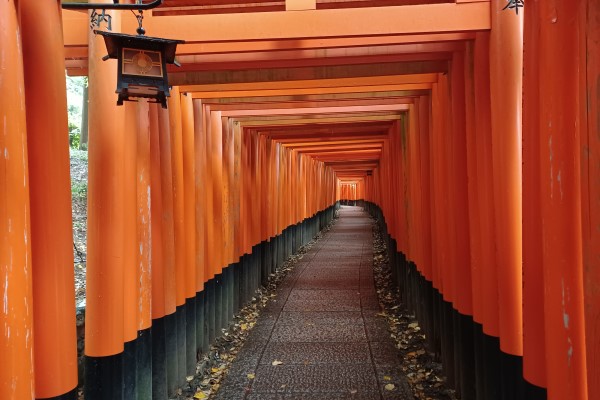 Senbon Torii of Fushimi Inari Taisha
