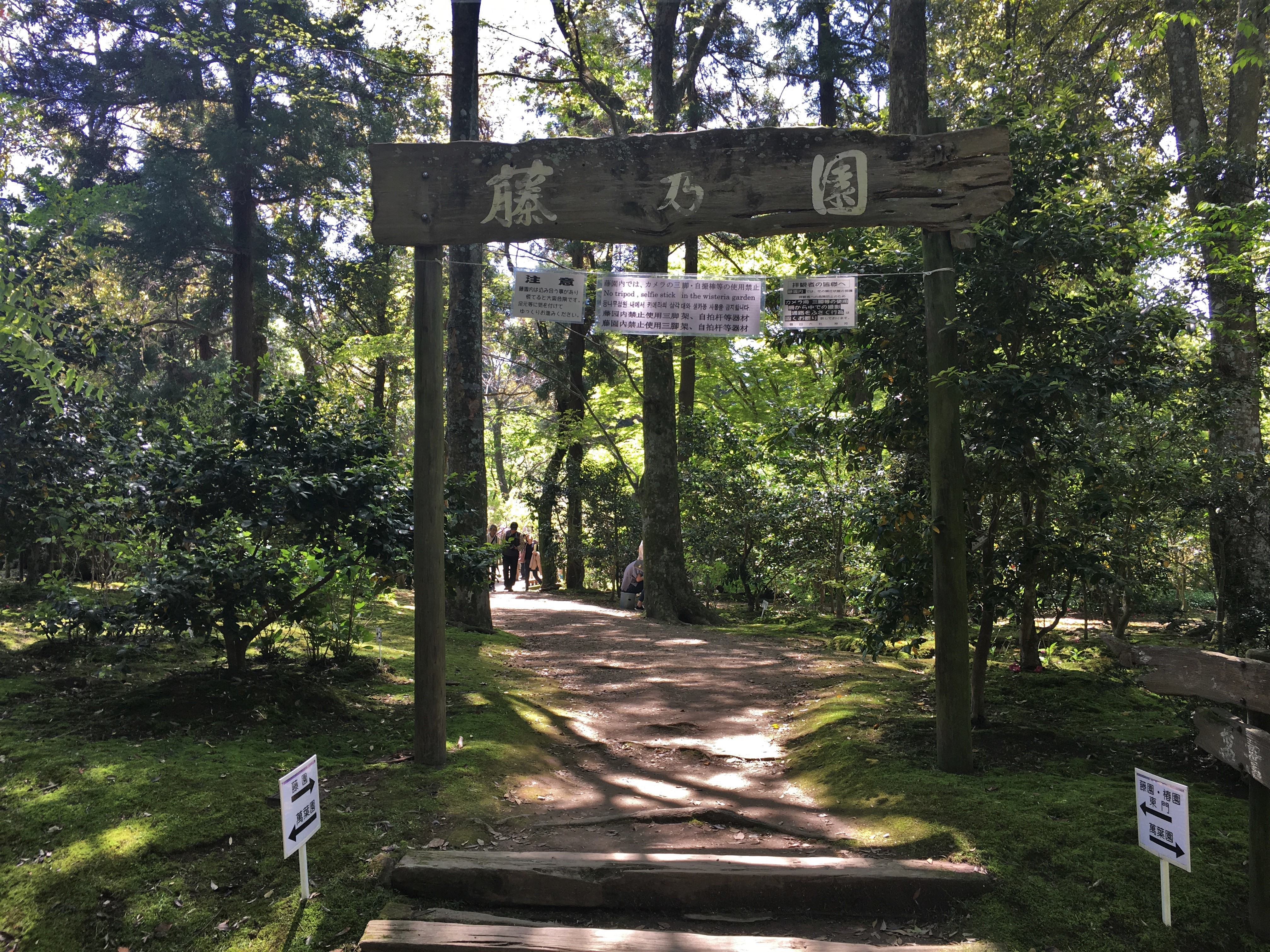 entrance to the wisteria garden in Manyo botanical garden