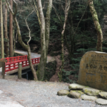 Hiking Kasugayama Primeval Forest