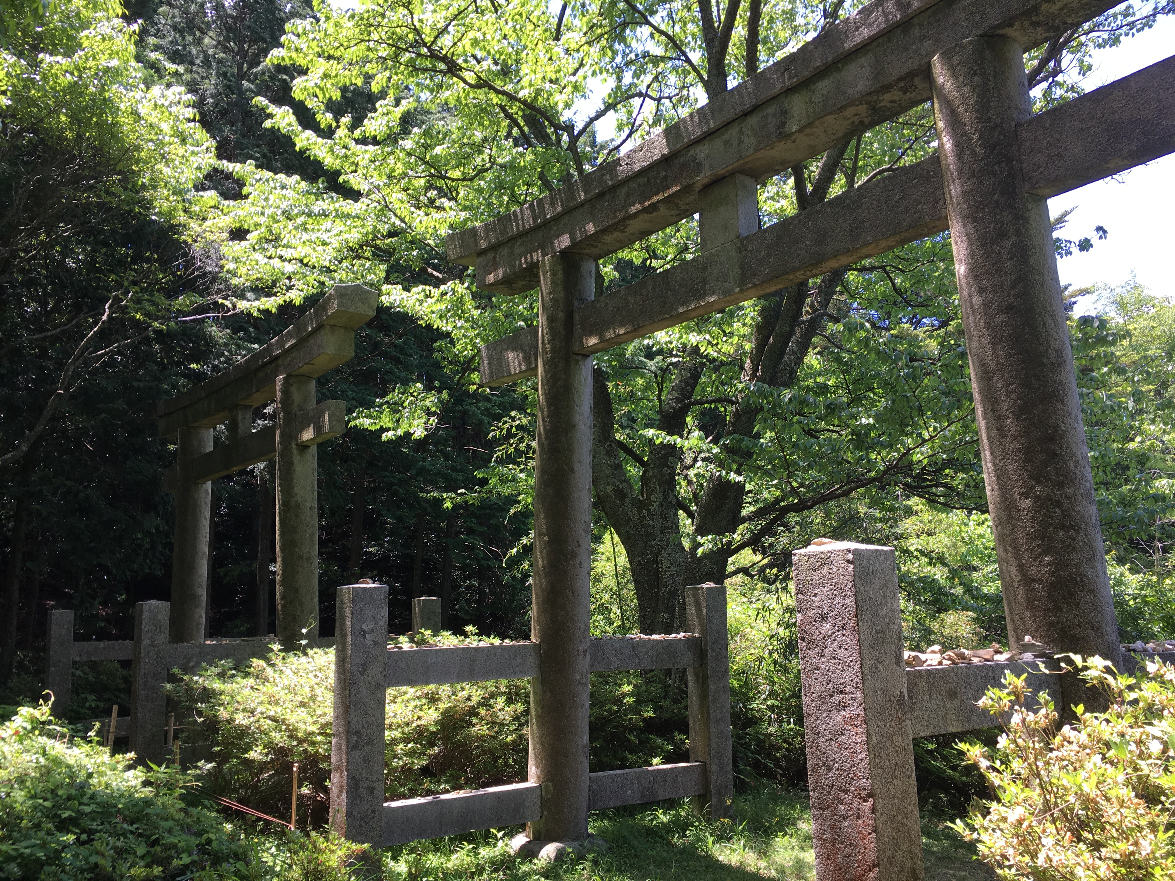 Twin torii on the choishimichi trail at mount koya