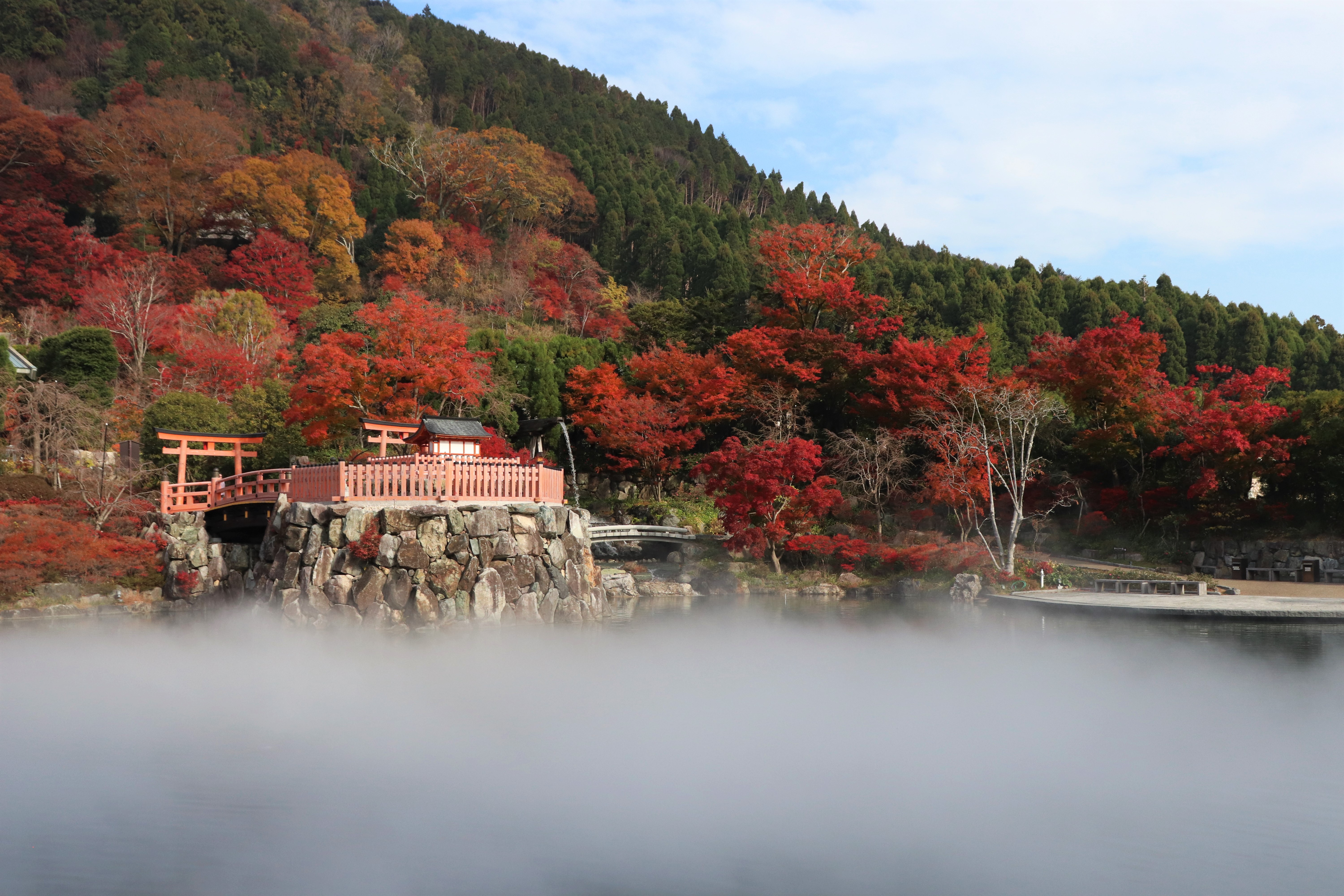 mist covered pond and beautiful fall colors at katsuo-ji temple