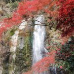 箕面の滝【大阪の紅葉といえばここ!】