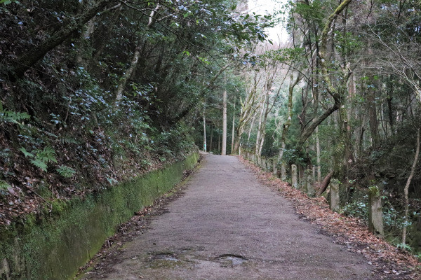 Main trail of mt. Atago