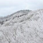 冬の金剛山に上る【大阪で雪山ハイキング!】