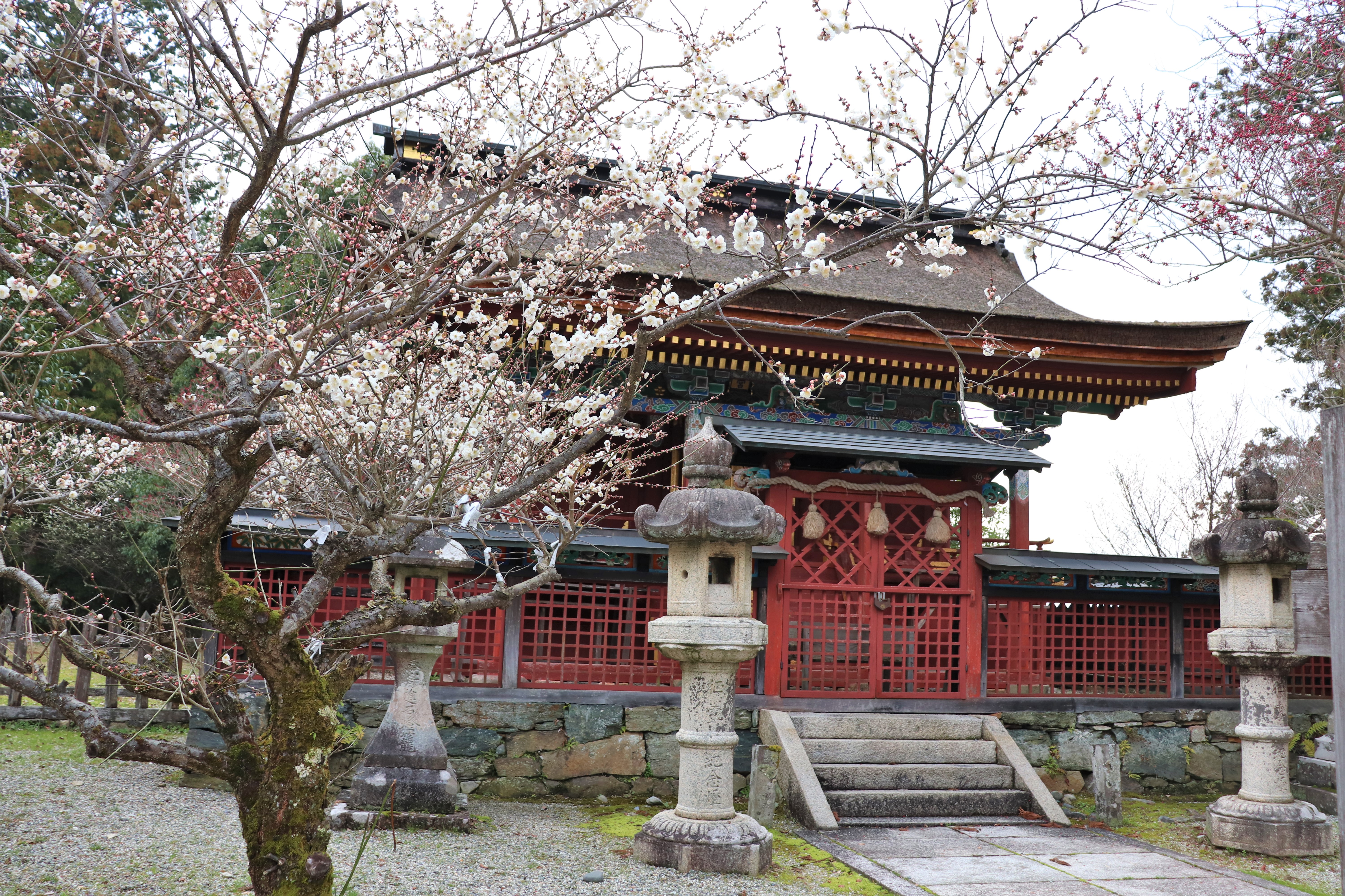 Itoku Tenmangu at Kinpusen-ji Temple