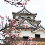Hikone Castle, A Japanese National Treasure
