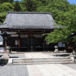 Horin-ji Temple: Kyoto’s Iconic Jusan Mairi Temple