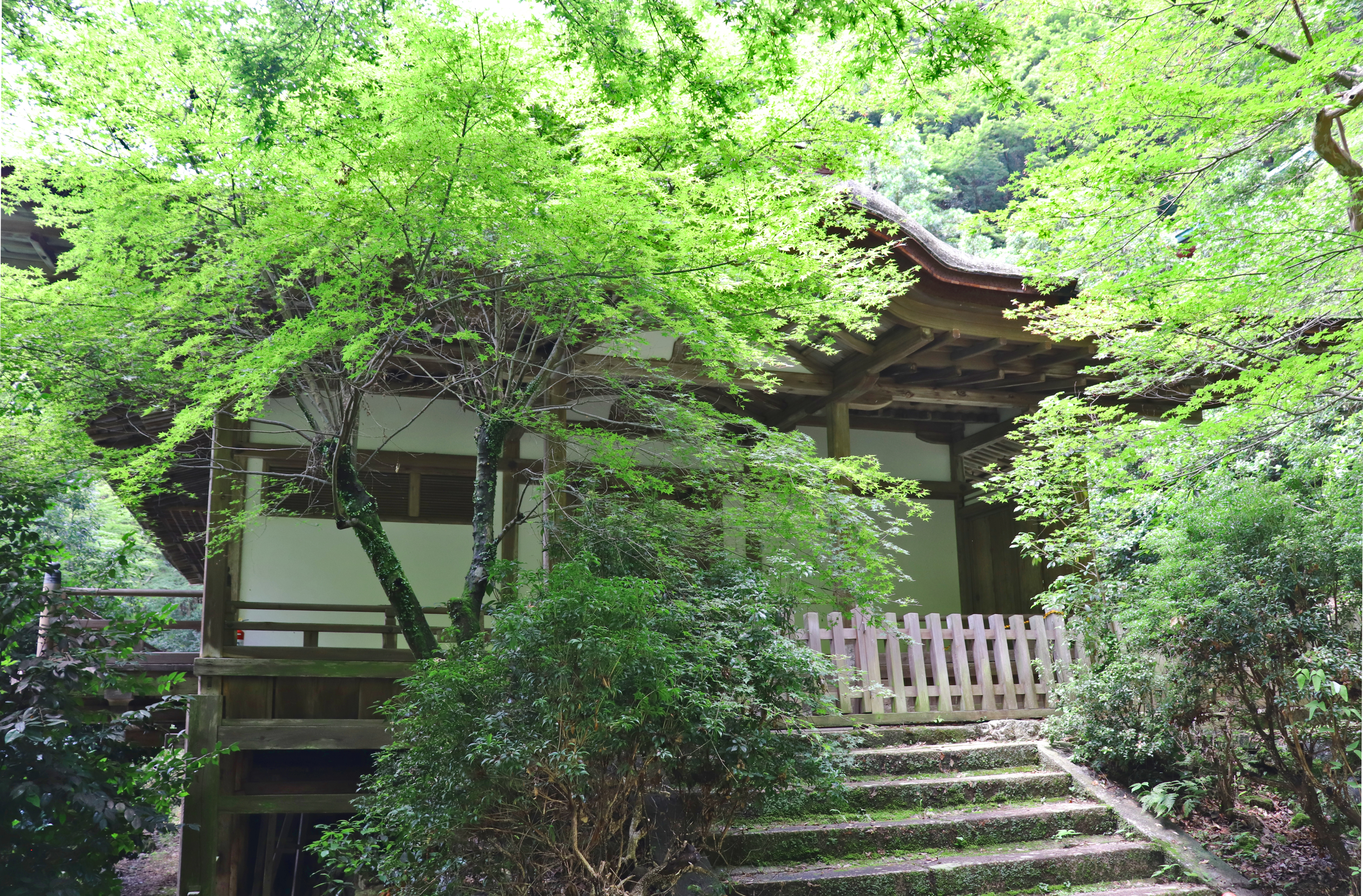 Kiyotaki Shrine haiden