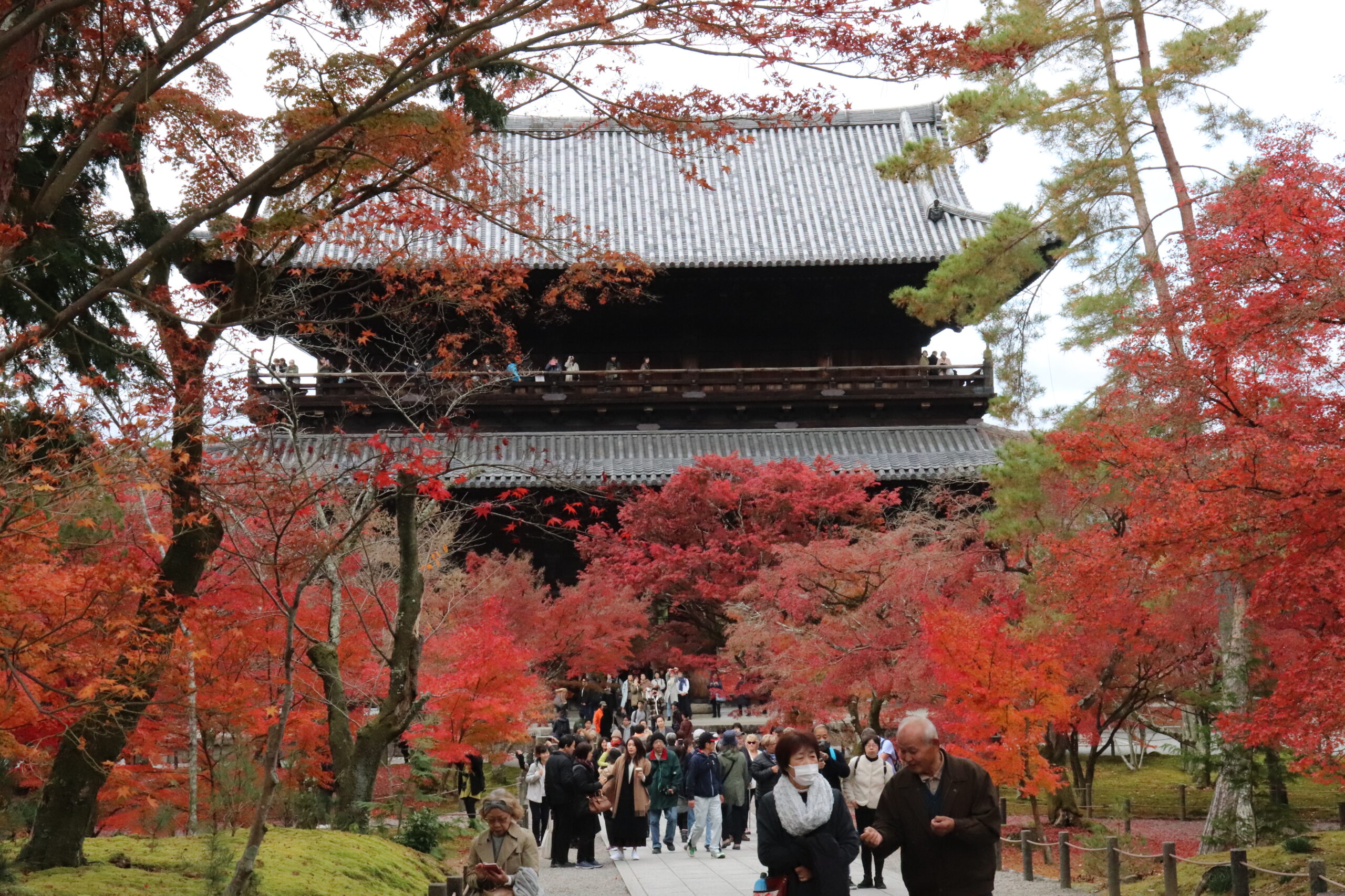 秋の南禅寺