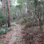 Higashiyama Course 1: Hiking the Kyoto Circuit Trail