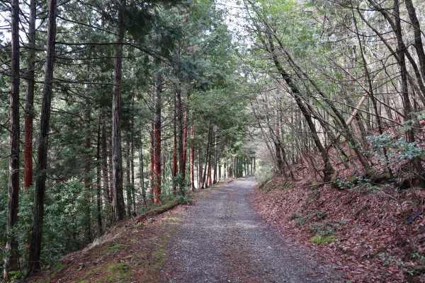 Incorporation Memorial Forest on the Keihoku Course