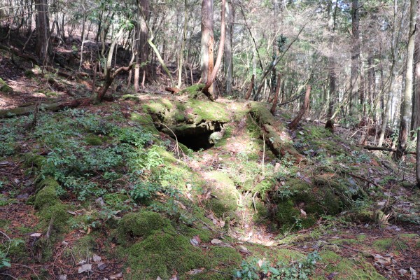 Burial mound (kofun) along the Keihoku Course