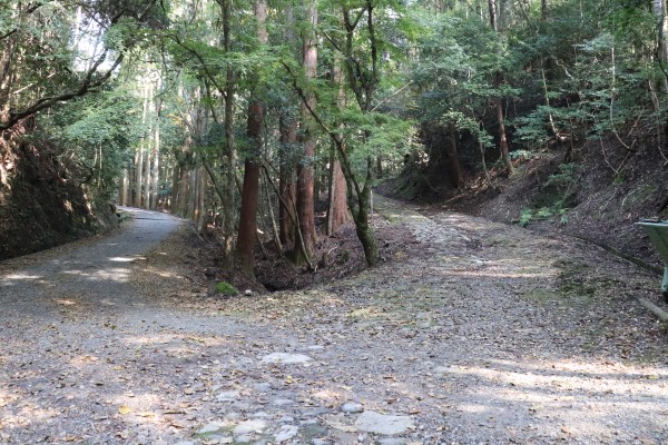Fork of the Kasuga Primeval Trail and the Yagyu Kaido Trail