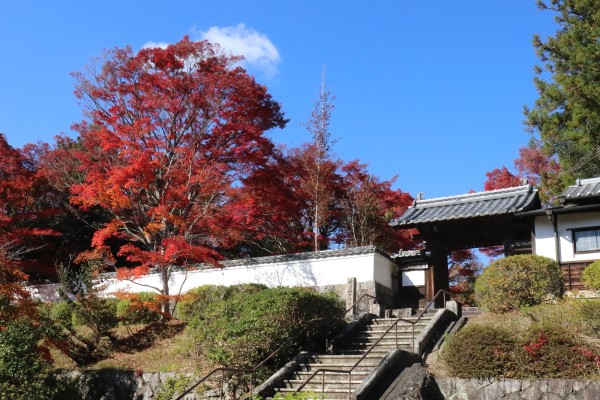 Hotoku-ji Temple in Yagyu Village 