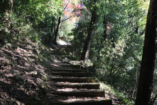 笠置寺への山道