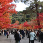 Eikando: Kyoto’s Best Fall Spot