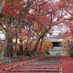 Bishamon-do: Kyoto’s Best Kept Fall Secret