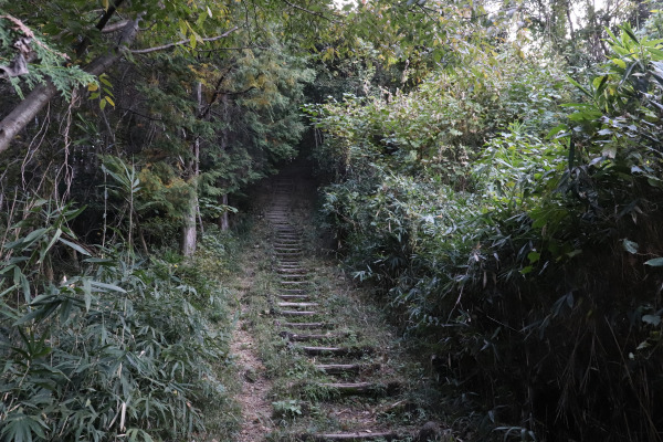Diamond Trail leading up Mt. Nijo, Japan