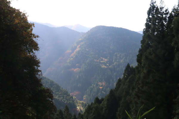 View of Mt. Kongo from the Mizukoshi Pass on the Diamond Trail 