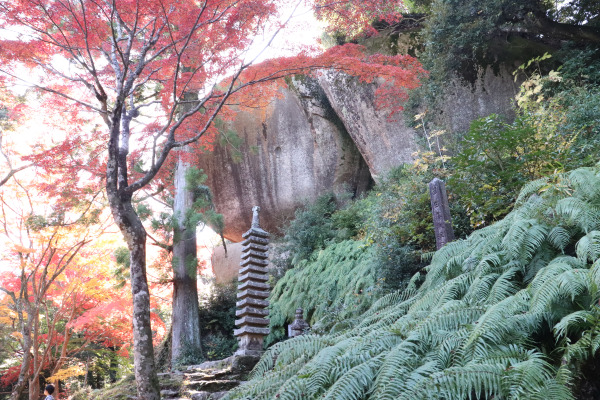Pagoda of Kasagi Temple