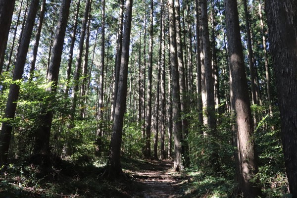 Diamond Trail near Mt. Iwawaki