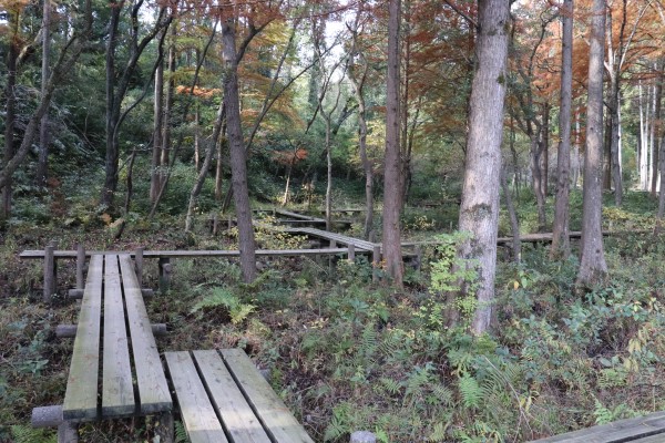 Yatsuhasi at Kurondo Park near the Ikoma Nature Trail