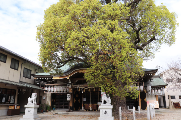 Ishizu Shrine along the Kumano Kodo Kii-ji Trail in Osaka