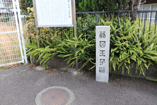 Shinoda Oji along the Kumano Kodo Kii-ji Trail