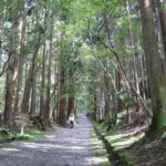 Enryaku-ji Hieizan : the Historic and Powerful