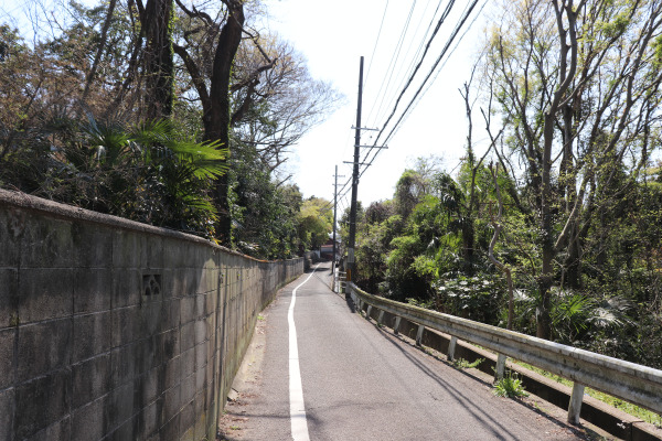 Hasegawa no Saka on the Kumano Kodo Kiiji Trail