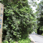Takenouchi Kaido 2 (Furuichi to Nagao Shrine): Japan’s Oldest Road