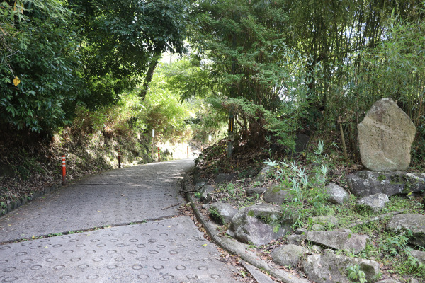 Trail to the Kuragari Pass