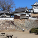 Bitchu Matsuyama Castle: Japan’s Only Surviving Mountain Castle