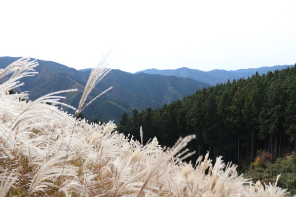 Mt. Iwawaki