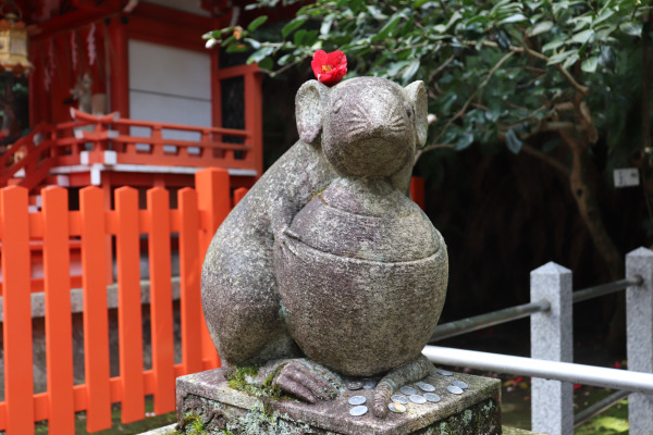 Koma-nezumi of Otoyo Shrine in Kyoto